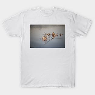 Natural Abstract T-Shirt